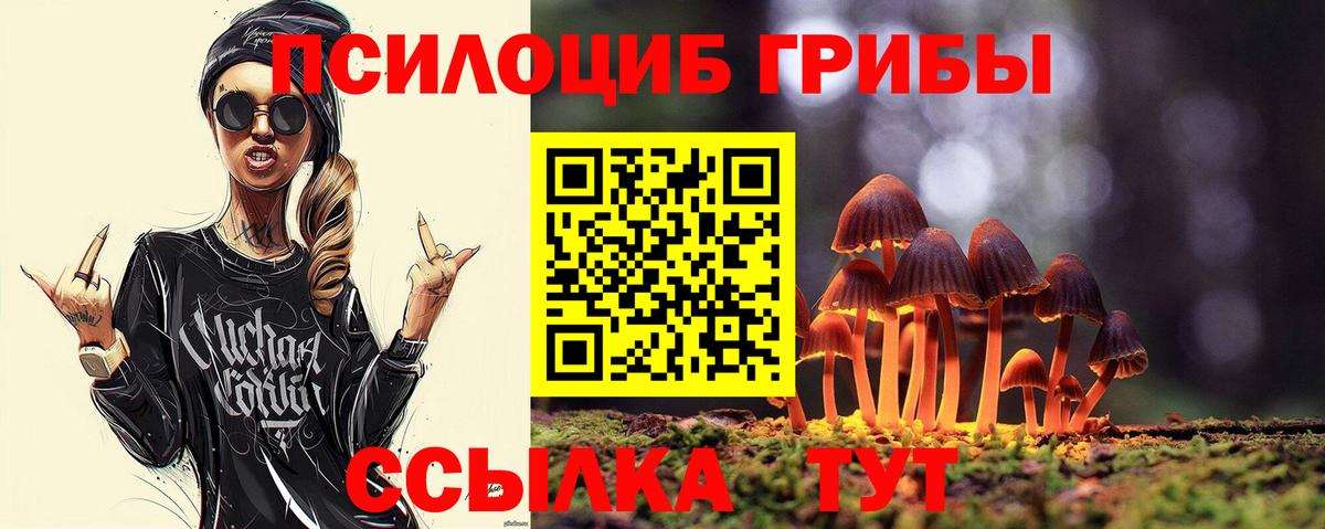 Псилоцибиновые грибы мицелий  Вход с VPN  Псилоцибиновые грибы мухоморы  Балаково 