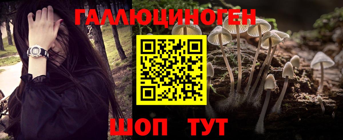 Галлюциногенные грибы Psilocybine cubensis Балаково