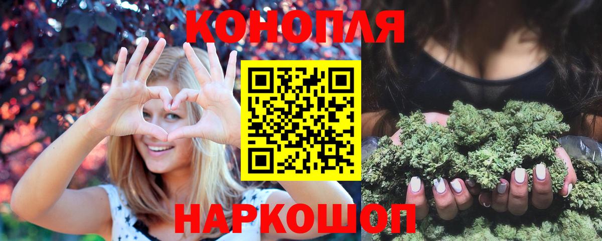 Бошки Шишки план Балаково